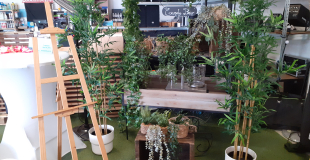 Salon du Mariage 2023 de Liffré (35)