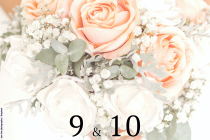 Salon du Mariage 2024 d'Albi (81)