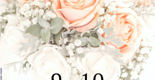 Salon du Mariage 2024 d'Albi (81)