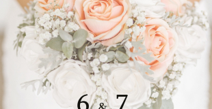 Salon du Mariage 2025 d'Albi (81)