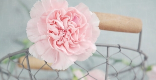 Urne de mariage originale : 10 idées pour la faire soi-même