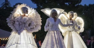 Echassiers-Blancs-Lumineux