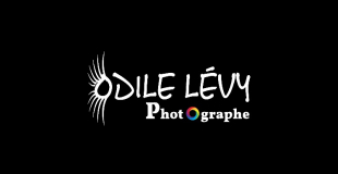 Odile Lévy Photographe