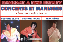 Bill Looking sosie d'Elvis Presley