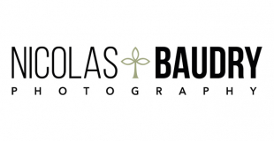Nicolas Baudry - Photographe mariage