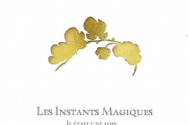 Les Instants Magiques