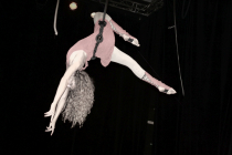 Laetitia R. Artiste cirque