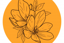 Camille Girault Photographe