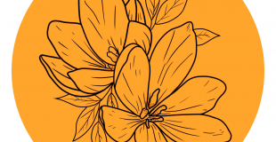 Camille Girault Photographe