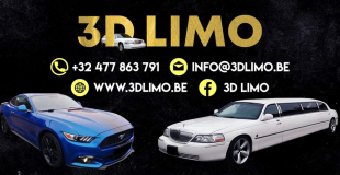 3D Limo