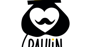 Paulin & ses tresses magiques