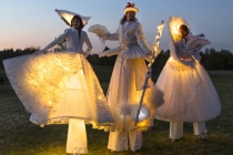 Echassiers blancs pour mariage