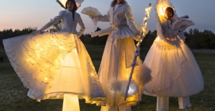 Echassiers blancs pour mariage