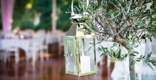 Com'une Orchidée - Créateur d'émotions C) Céline Scaringi