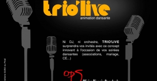 chanteurs et chanteuse en direct