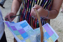 Distribution des fiches