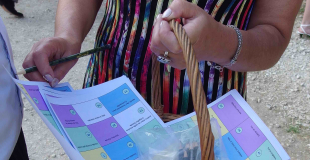 Distribution des fiches