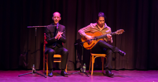 animation flamenco mariage