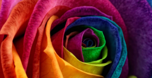 Artifleurs