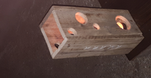 photophores ambiance