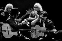 Borruto Family en concert