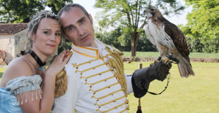 Apport des alliances buse