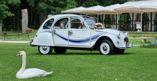 Romantisme et élégance