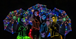Le groupe en leds