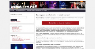 Magiciens Professionnels